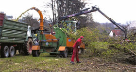 Entsorgung von Schnittgut