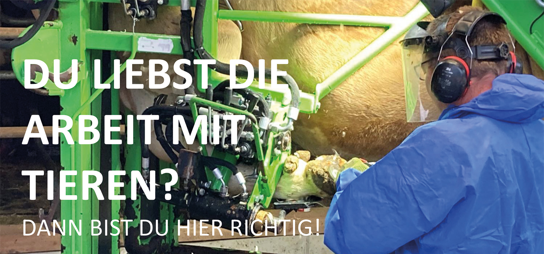 Du liebst die Arbeit mit Tieren? Dann bist Du hier richtig!