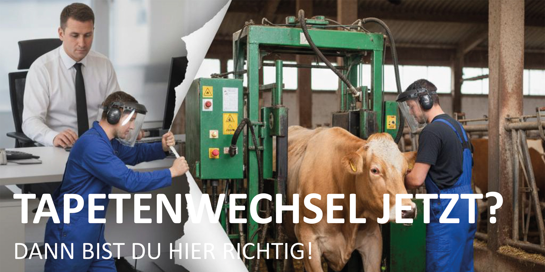 Tapetenwechsel jetzt? Dann bist Du hier richtig!